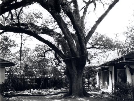 Overview of the Newcomb College Washington Avenue Campus: A Brief History