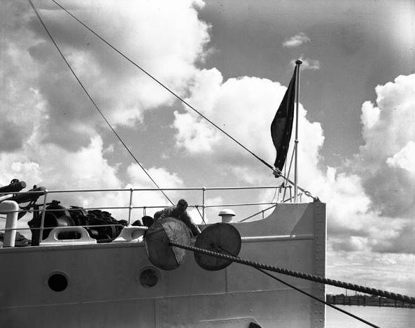 Inspecting a Ship's Rat Guards