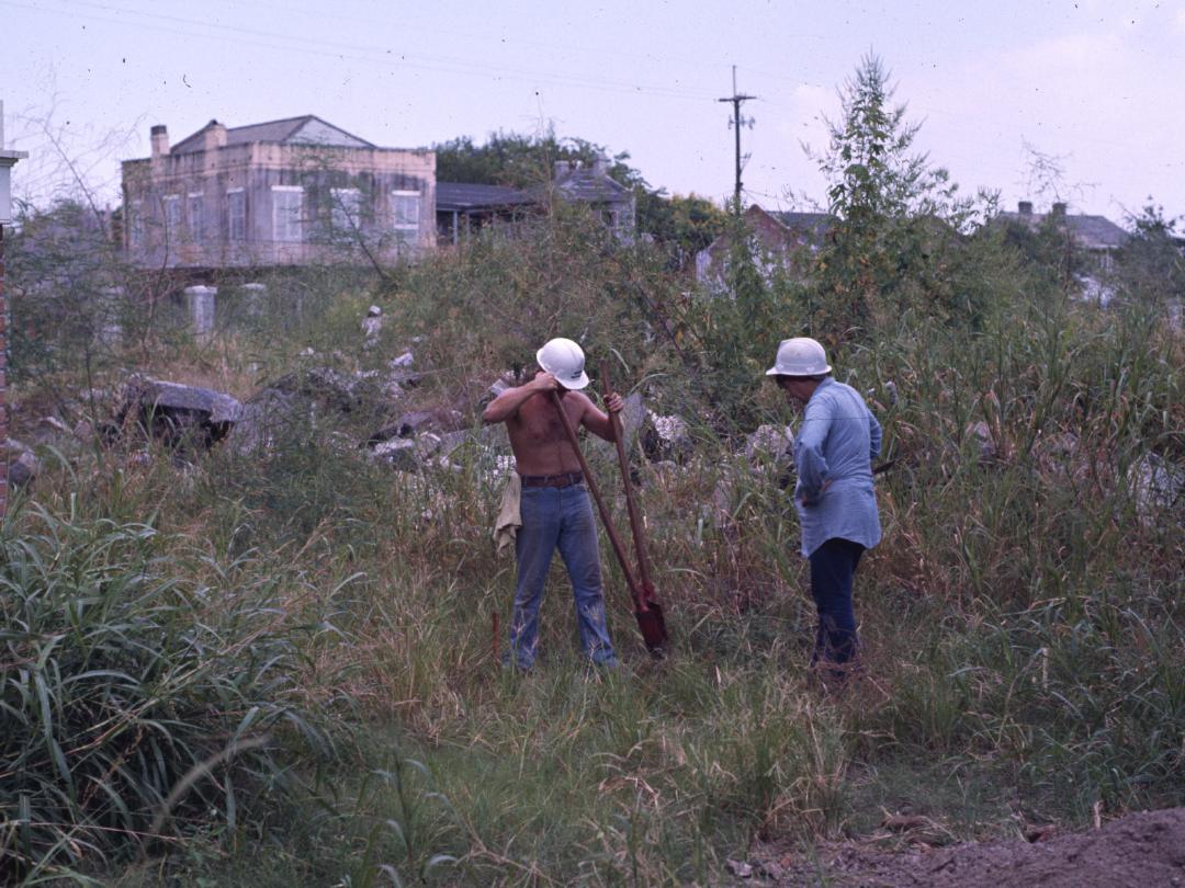 Shovel Tests