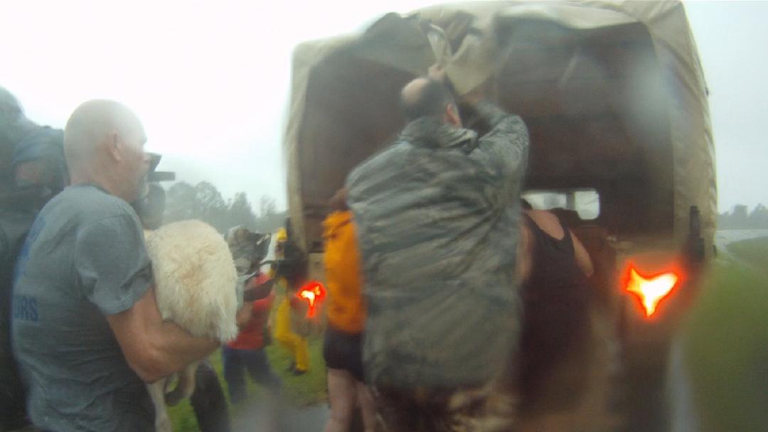 Braithwaite, Hurricane Isaac, 2012