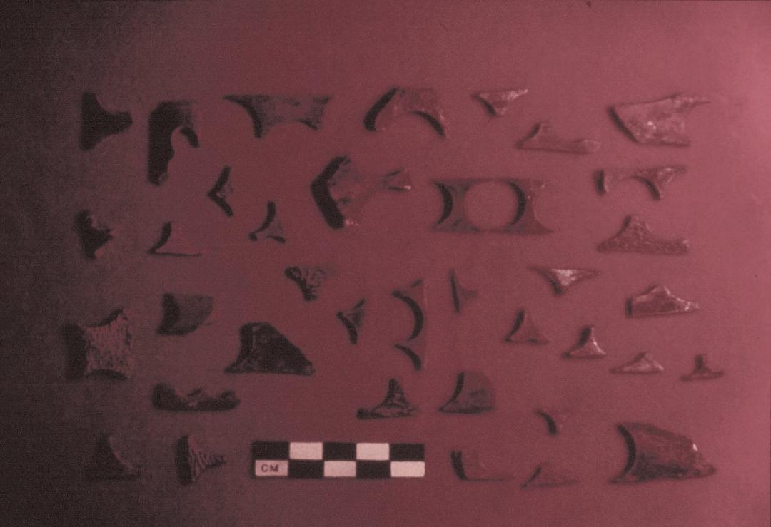 Bone button blanks and manufacturing debris from prison component.