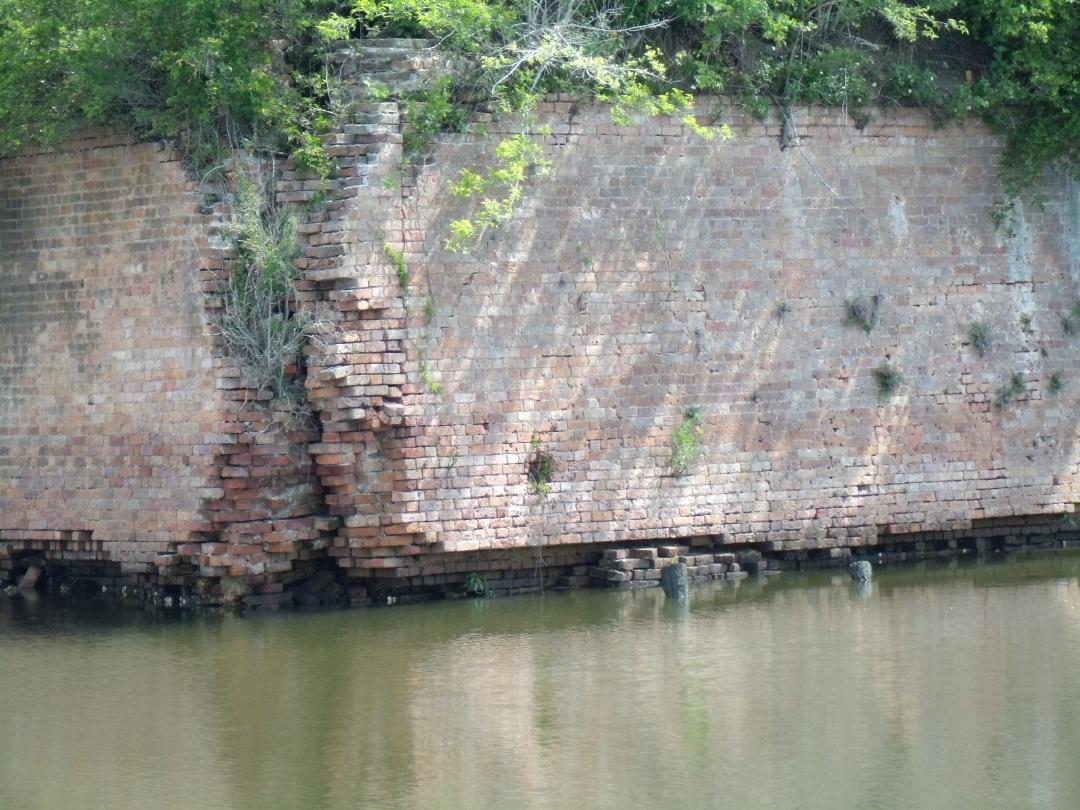Corner of a crumbling brick wall covered in greenery with water surrounding it.
