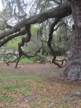 The site where a mysterious crypt once rested.