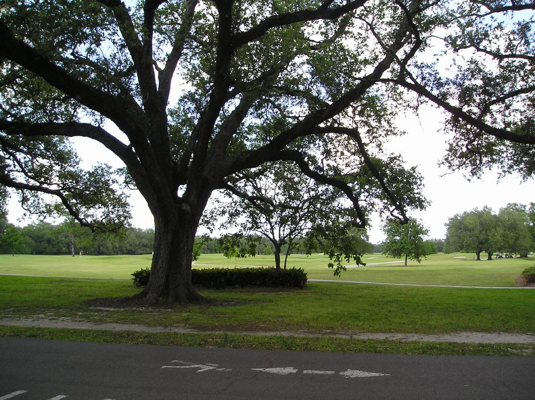 From the jogging path