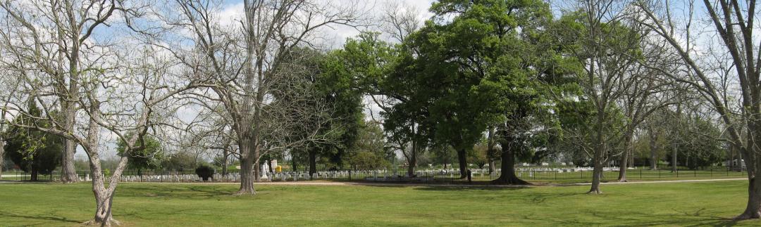 Carville Patients' Cemetery, National Leprosarium.