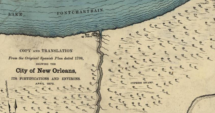 Close up of "Plan of the City of New Orleans and Adjacent Plantations."