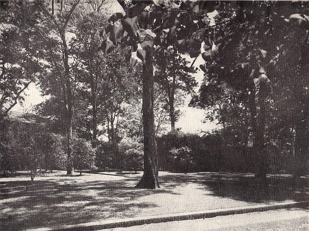 School Grounds, Ridgewood Preparatory School, 1948