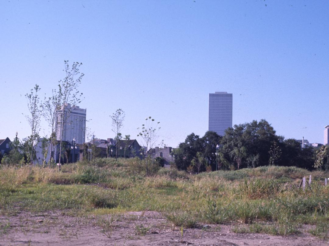 Park Overview