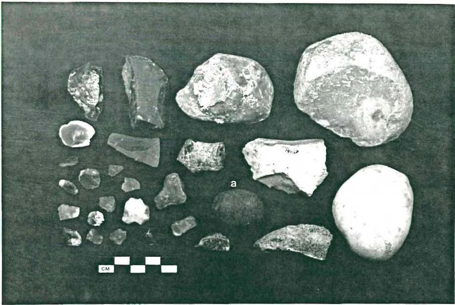 Flint debitage from Cabildo excavations.