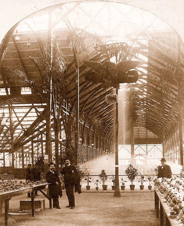 The Fountain in Horticultural Hall