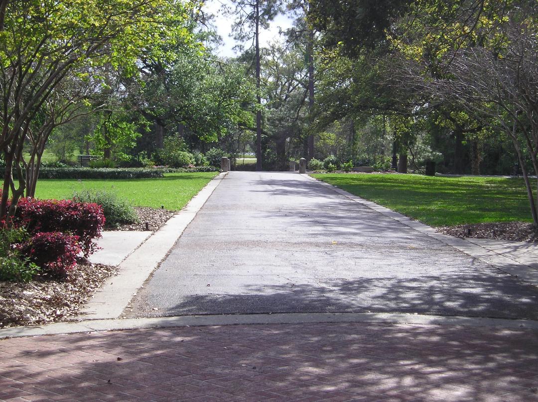Path to the lagoon.