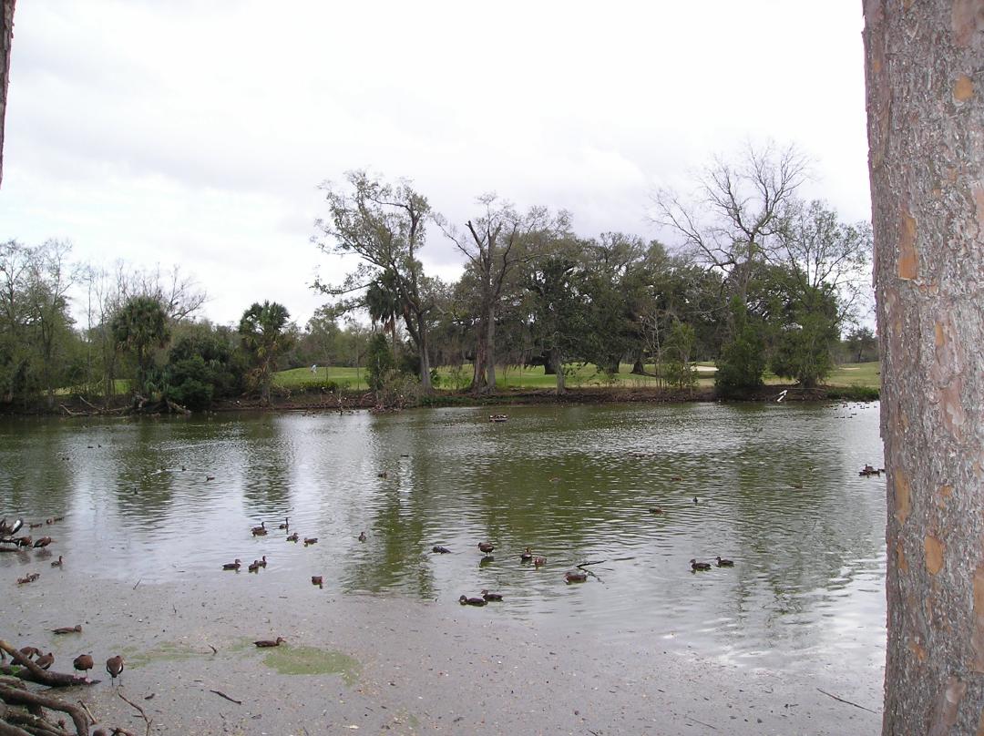 Looking straight across the Olmstead lagoon.