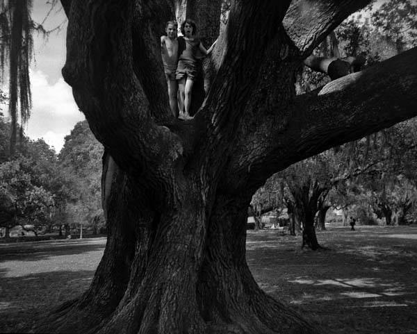 Kids playing in City Park's oaks.