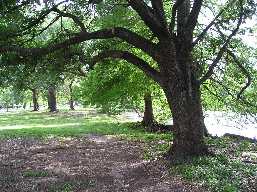 Following the path to Prytania Street
