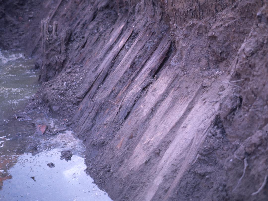 Fort St. Ferdinand Moat Planks