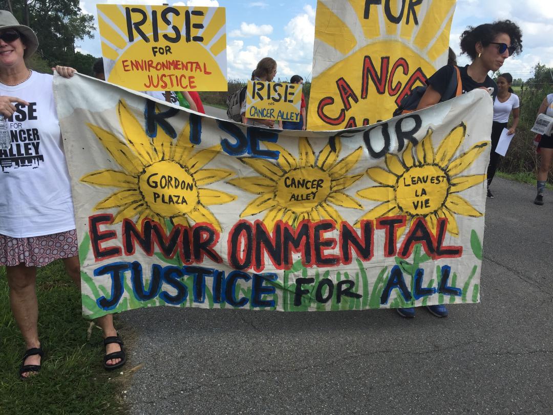 Gordon Plaza Residents' Present Day Political Activism 