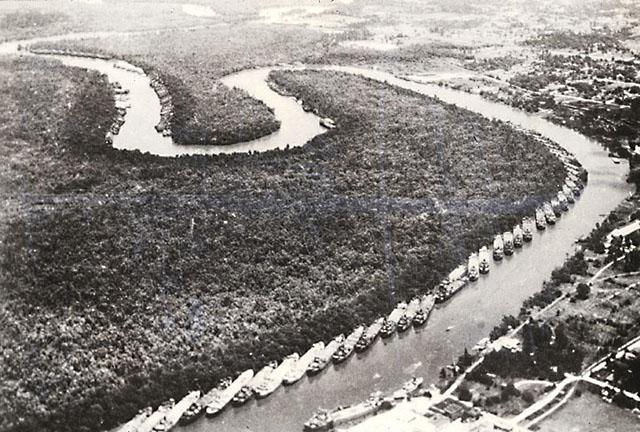 Ships Returning Soldiers from the Pacific Theater May Have Brought Termites Too
