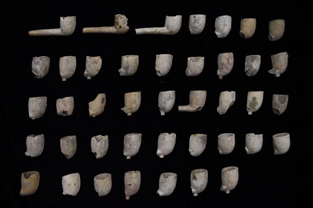 Photograph of multiple historic white clay smoking pipe bowl fragments. The photograph display five rows of pipe fragments. In the first row, left to right, three fragments including pipe bowl and stems are arranged, followed by four fragments of pipe bowls. The next four rows displays nine pipe bowls across the photograph, evenly spaced. Some pipe bowls are burned, some complete, and some are fragmented.
