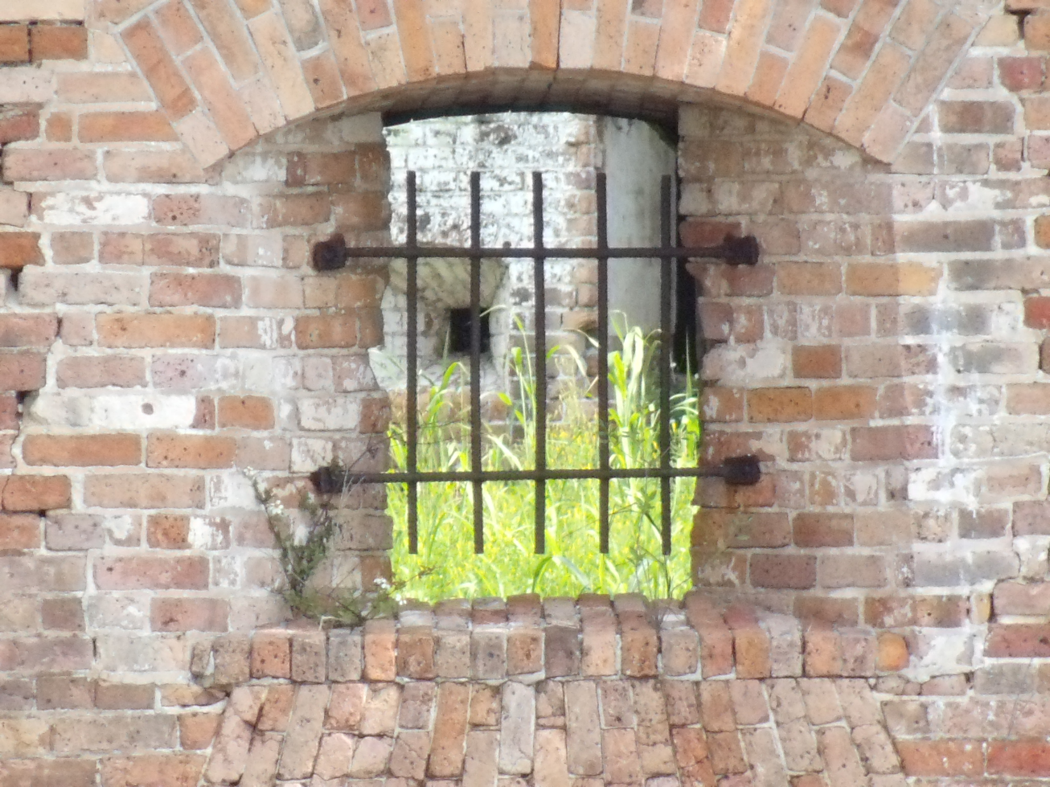 A window with metal bars across it in a brick wall. Tall grass can be seen through the window.